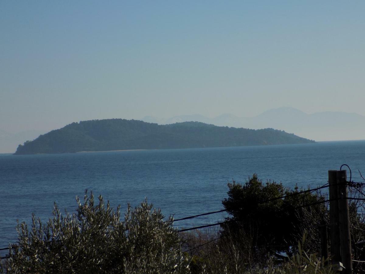 Rhodon House Apartment Skiathos Exterior photo